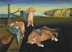 cat surrealism